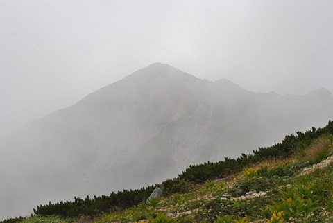 f0000521_521556.jpg