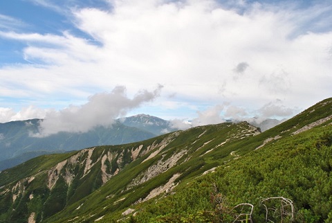 f0000521_5263751.jpg