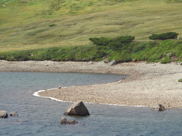 f0118332_04556.jpg