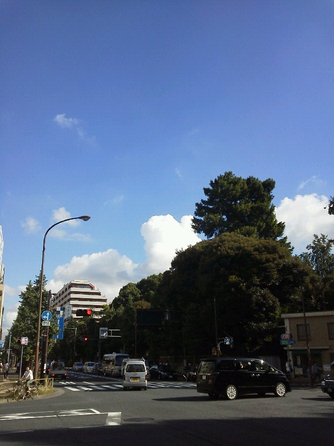 b0031140_20241125.jpg