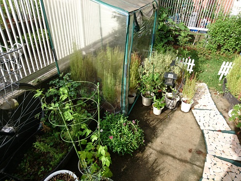 f0087347_231067.jpg