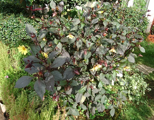 f0087347_23204296.jpg