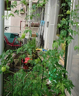 f0087347_23205182.jpg