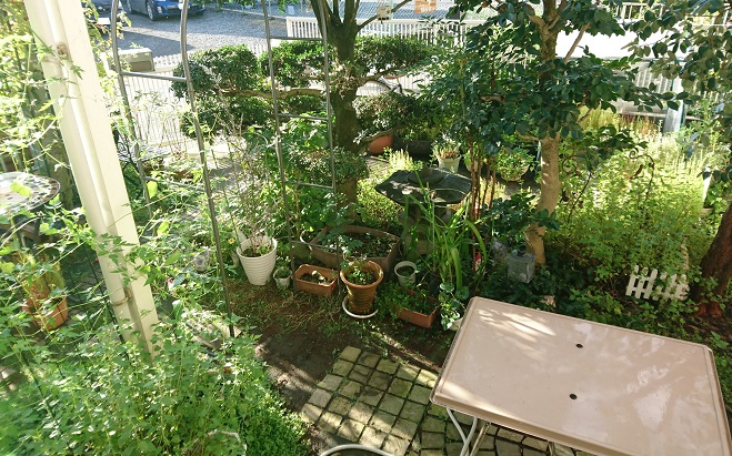 f0087347_232397.jpg