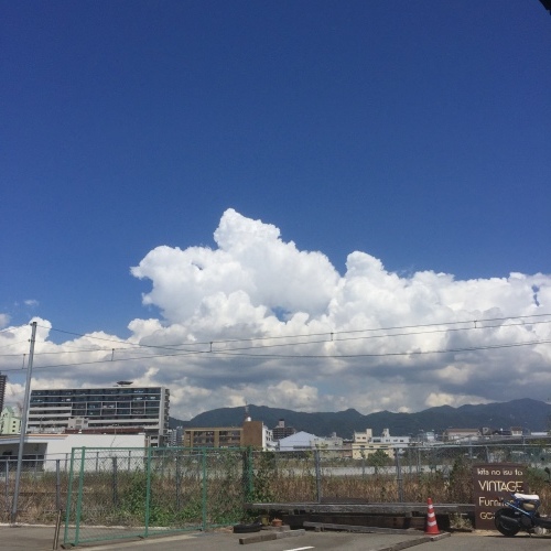 f0326751_14434726.jpeg