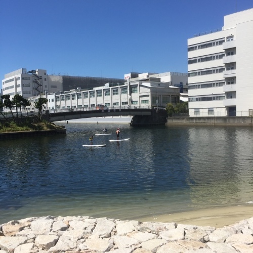 f0326751_14542172.jpeg