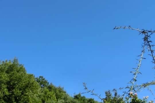 c0328559_17063376.jpg