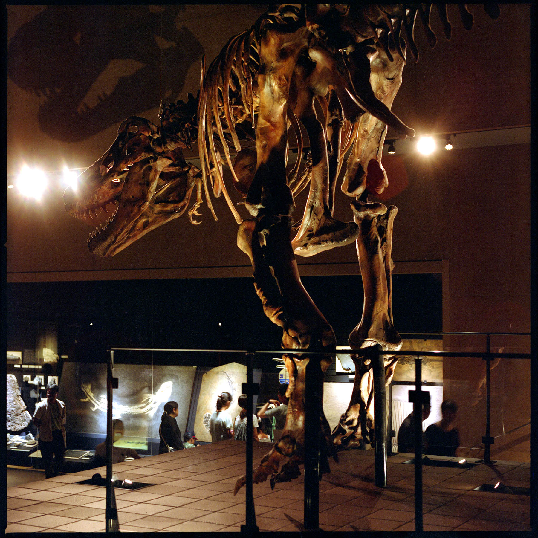 c0028861_1619774.jpg