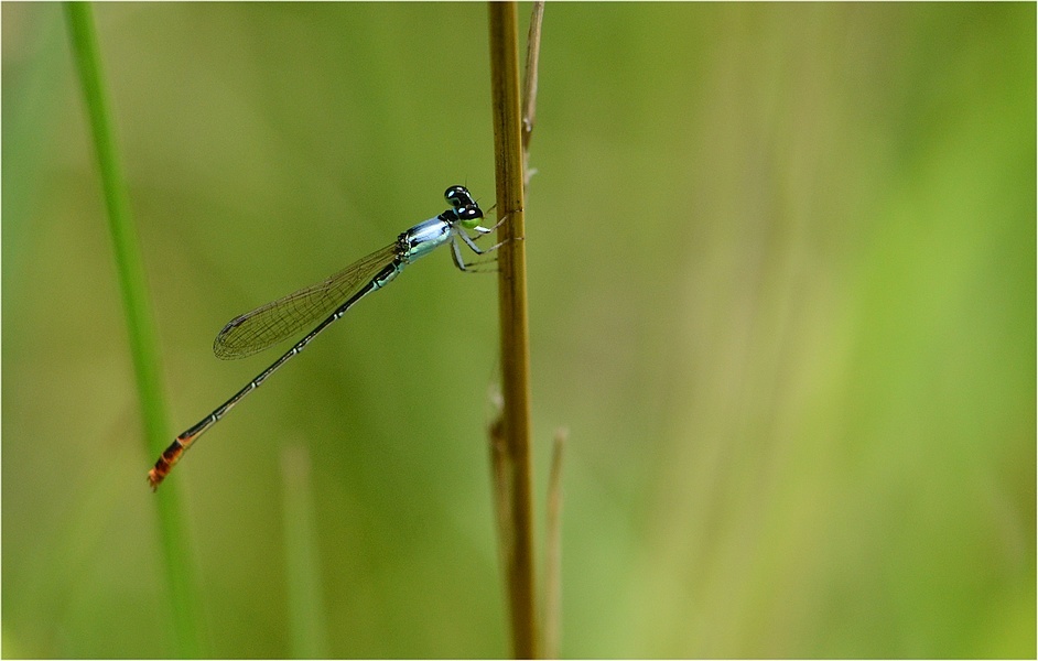 f0088971_22591575.jpg