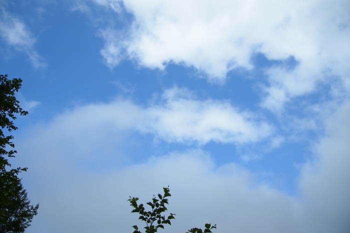 e0307372_22015245.jpg