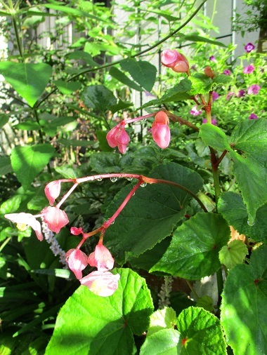 a0053480_06013954.jpg