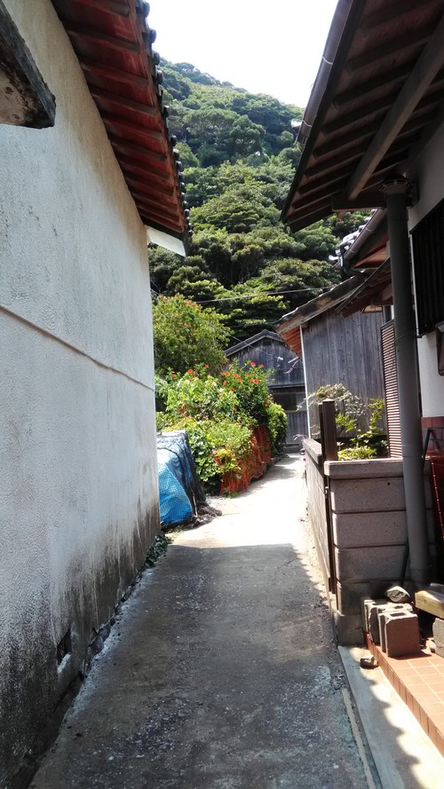 b0161480_10561565.jpg