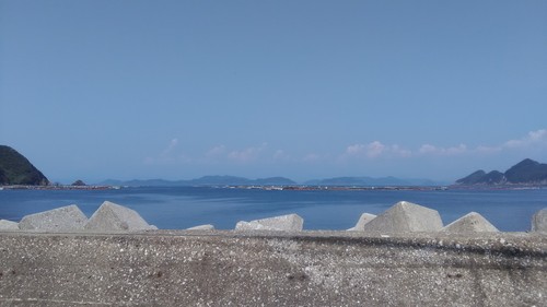 b0161480_1056612.jpg
