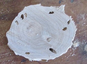 f0003283_20395840.jpg