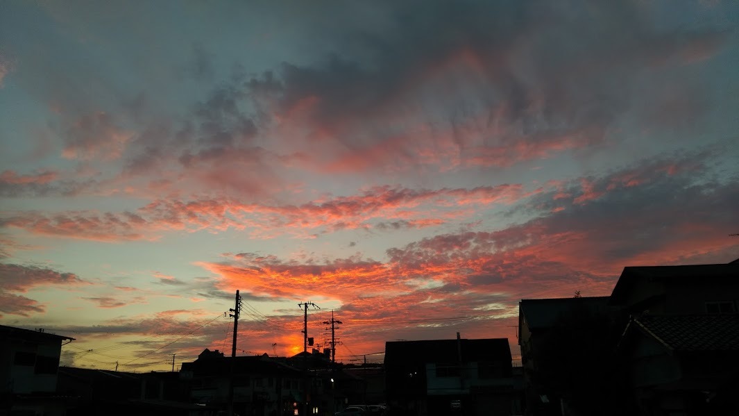 c0113084_13270754.jpg
