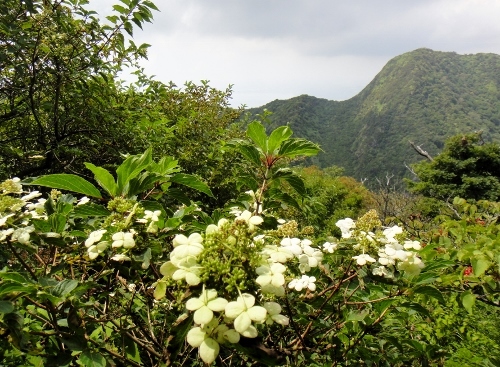 f0372285_10593895.jpg