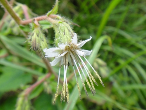 f0372285_11012340.jpg