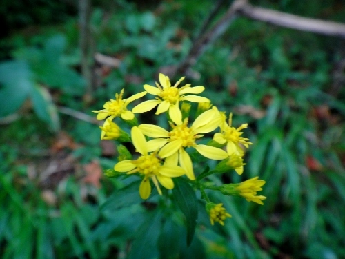 f0372285_11031444.jpg