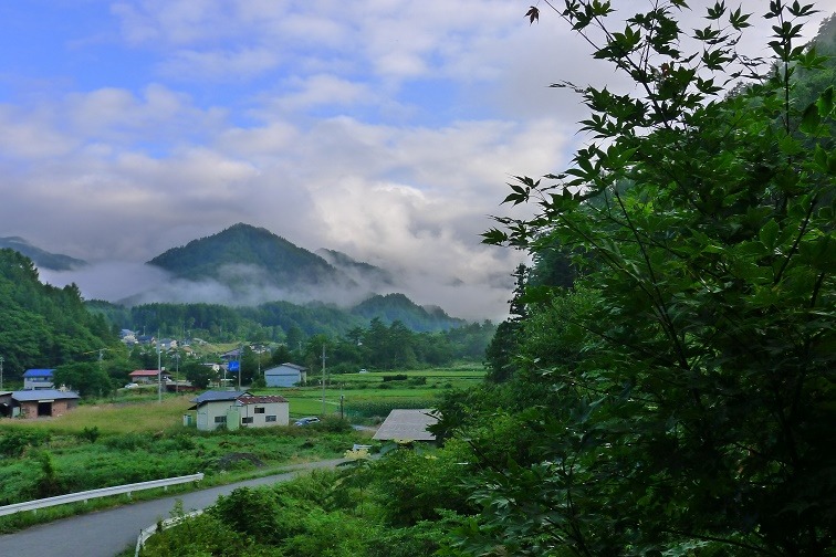 a0130586_7404886.jpg