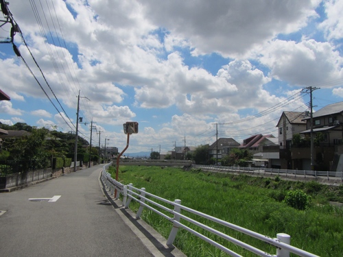 a0251786_2050280.jpg