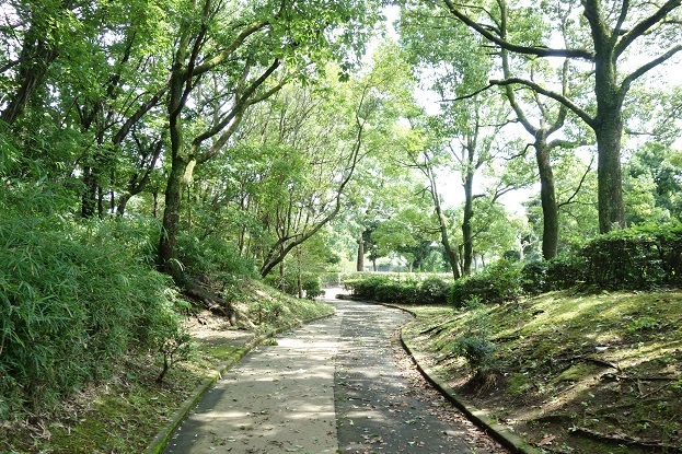 d0183387_00030755.jpg