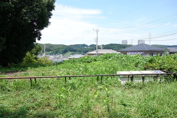 d0183387_00093185.jpg