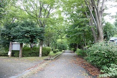 d0183387_00344336.jpg