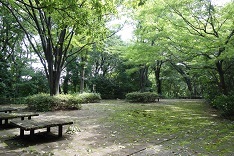 d0183387_13330641.jpg