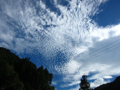 e0060987_1431440.jpg