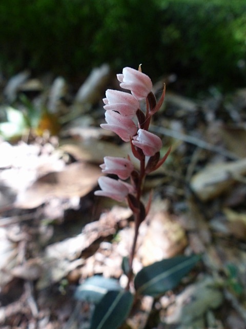 f0357487_1554525.jpg
