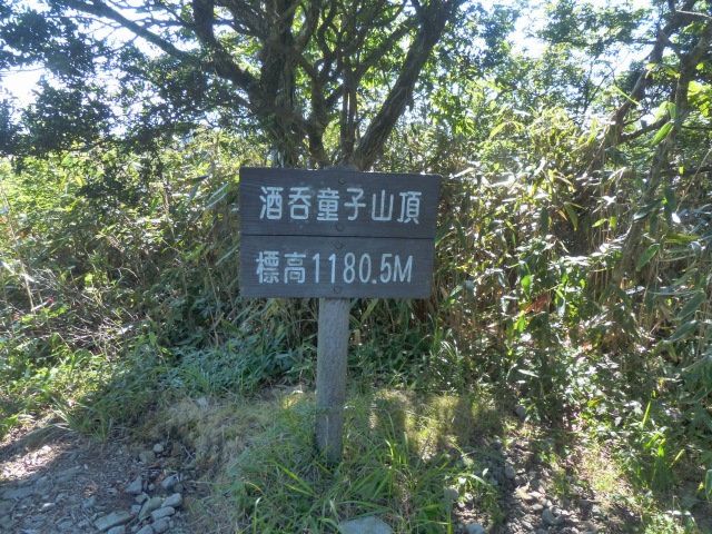 f0357487_15592044.jpg