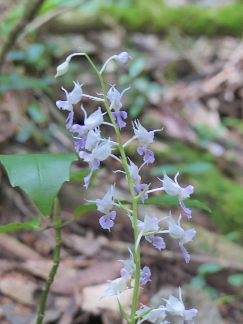 f0357487_1628798.jpg