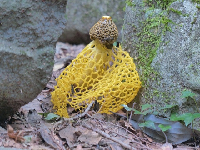 f0357487_16384631.jpg