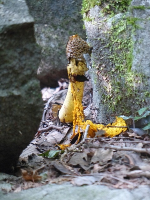 f0357487_1640661.jpg