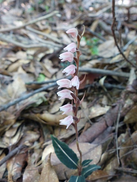 f0357487_16501129.jpg