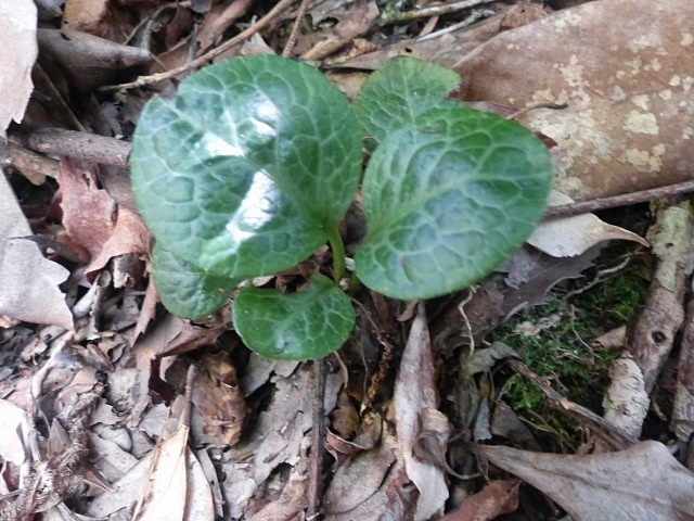f0357487_16505039.jpg