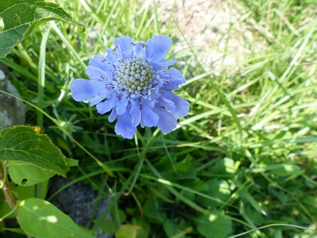 f0357487_16565490.jpg