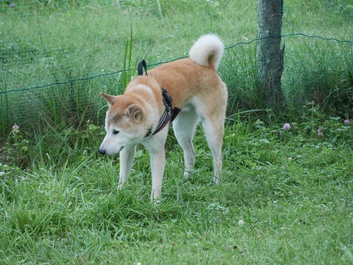 c0123890_133087.jpg