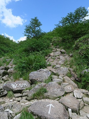 e0271890_13264424.jpg