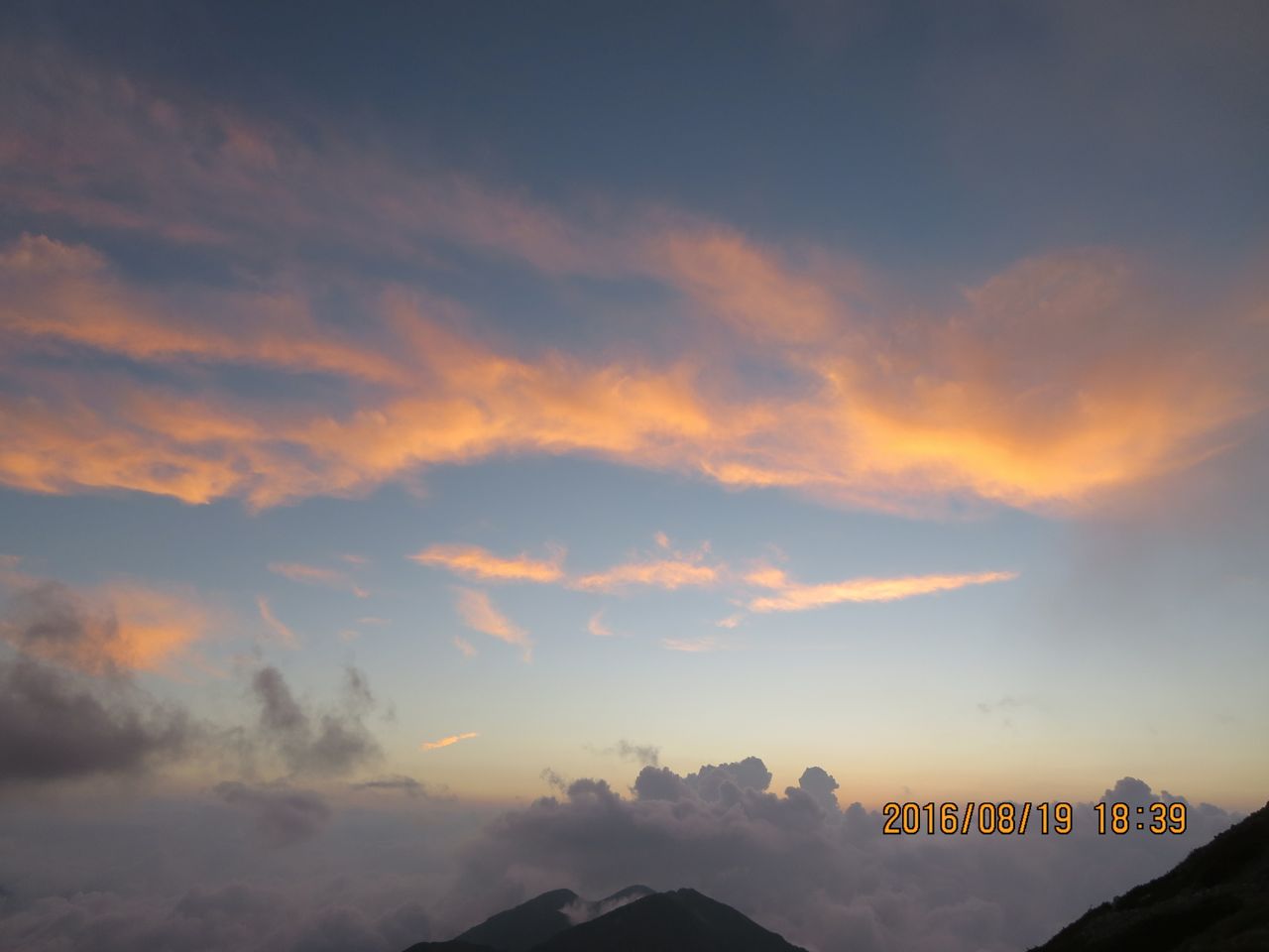 f0066492_9581047.jpg