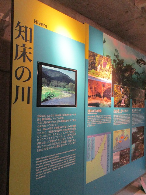 f0202703_0103646.jpg