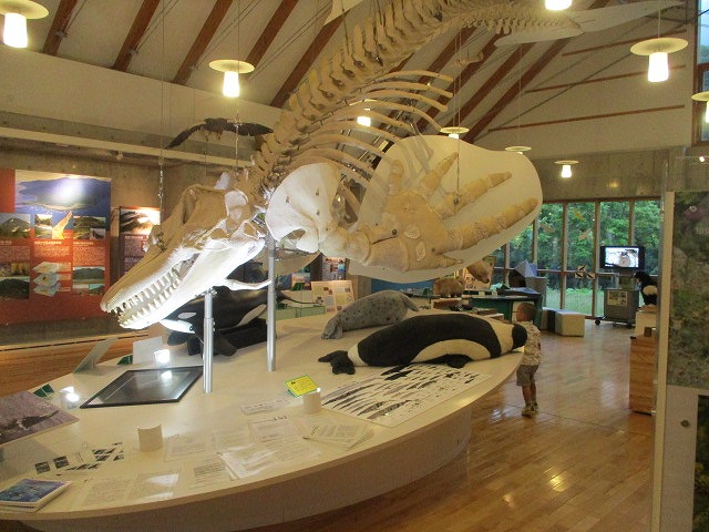 f0202703_0113721.jpg