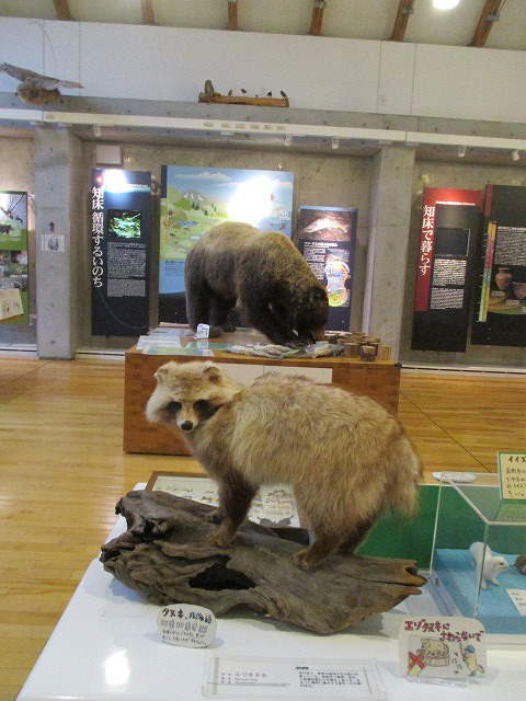 f0202703_0142162.jpg