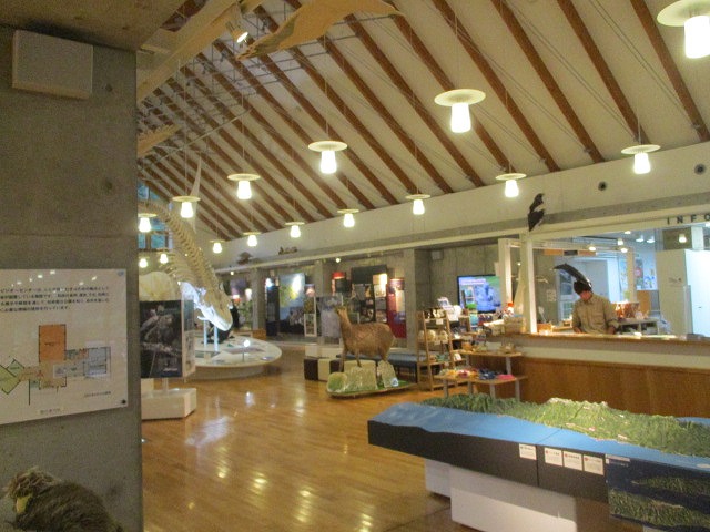 f0202703_0174578.jpg