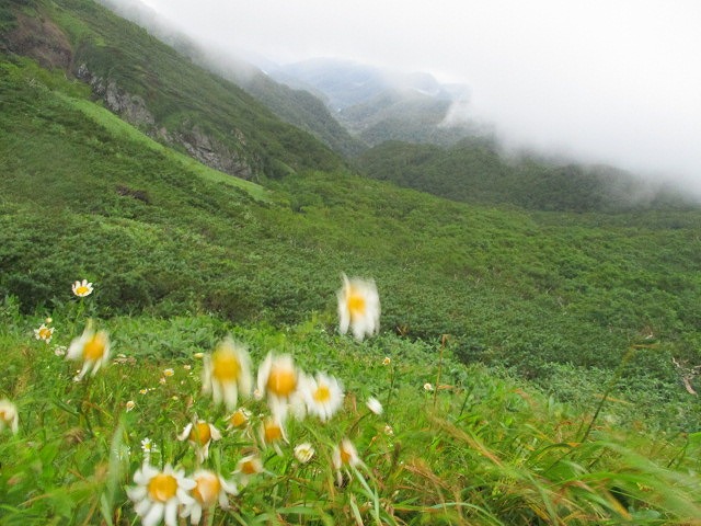 f0202703_0233767.jpg