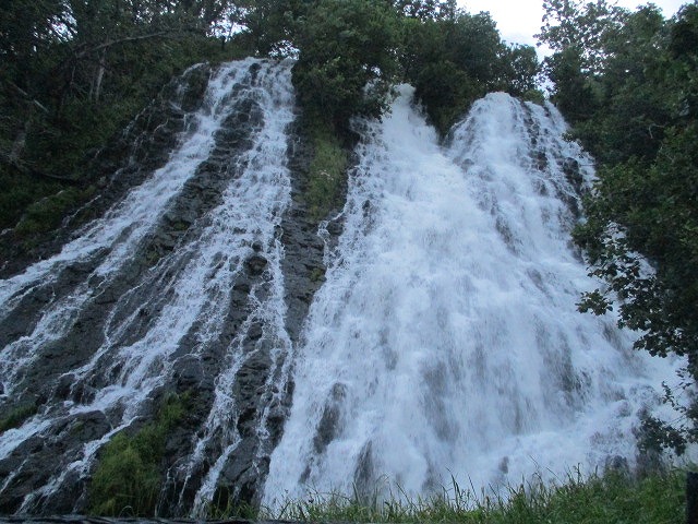 f0202703_039547.jpg