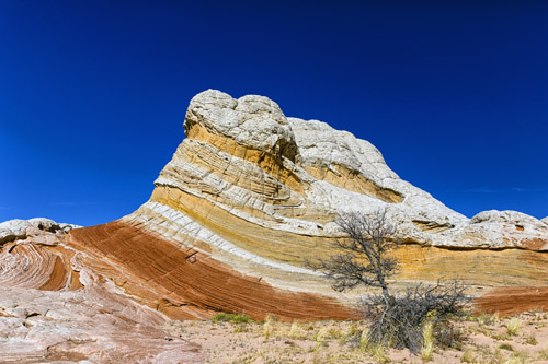 c0148812_841982.jpg