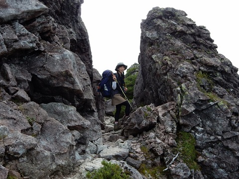 f0000521_60414.jpg