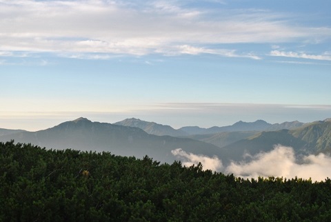 f0000521_6405624.jpg
