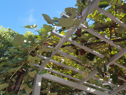 e0016828_10112636.jpg